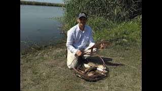ЛОВЛЯ ЛЕЩА в августе на реке. Убийца карася (соска) и макушатник победили фидер. Рыбалка с ночевкой