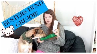 Mina hundgrejor!