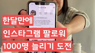 한달만에 인스타그램 팔로워 1000명 늘리기 도전!