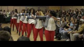 UNCC Stroll Competition 2012: Delta Sigma Theta Stroll 3