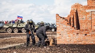 Белгородский СОБР ликвидировал банду
