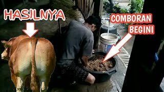 RESEP COMBORAN SIMPEL DI KANDANG SAPI BALAP