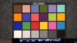 GH4 1080 Noise Test - Scenic 3200