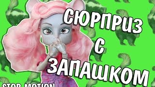 Стоп-Моушен Монстер Хай " СЮРПРИЗ С ЗАПАШКОМ" (Stop-Motion Monster High)