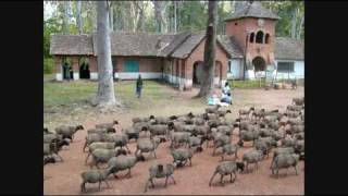 Zambia Music and Images