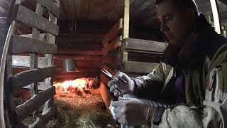 КАСТРАЦИЯ И ВАКЦИНАЦИЯ ПОРОСЯТ