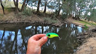 Murray cod fishing cap-gun boof I DON'T CATCH ANY FISH IN THIS VIDEO