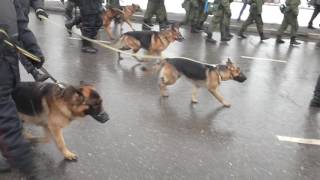 Супер прикол!!!))) "Русский марш" на день "Народного единства" в Москве 4 ноября 2016.