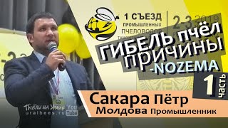 Сакара Петр Молдова 1 Исчезновение пчёл Болезни Гибель Нозематоз Современные методы лечения СППТС