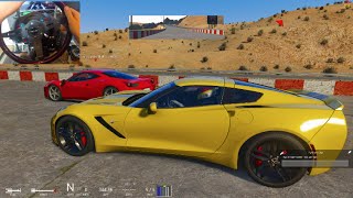 Assetto Corsa GoPro Twitter QnA ! Black Cat Country Track (First Drive) w/C7 + Tandems! | SLAPTrain