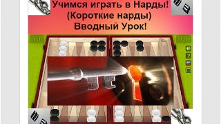 Учимся играть в Нарды! (Короткие нарды) Вводный Урок!