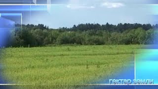 Гектар земли