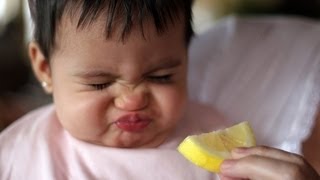 Babies Eating Lemons for the First Time Compilation (2014)