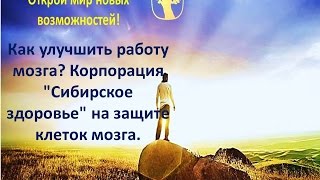 Как улучшить работу мозга?  Корпорация "Сибирское здоровье" на защите клеток мозга.