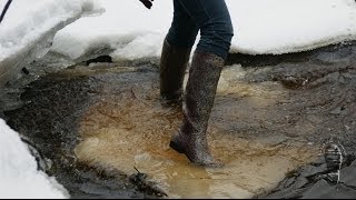 Brook's fishing & wetlook passion