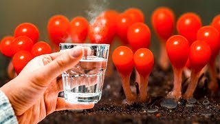 Так вот почему все красивые женщины пьют по утрам горячую воду...