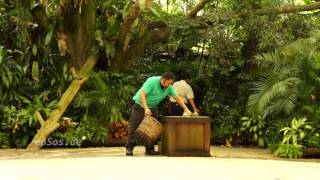 Funny Animal Show in Singapore Zoo