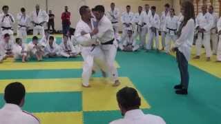 o uchi gari-uchi mata