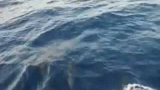 Travesía Barcelona-Formentera