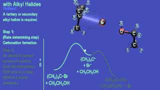 Organic Chemistry: E1 Reaction with Alkyl Halides & Reaction Coordinate
