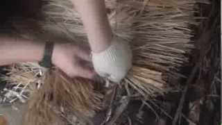 Маскировка гусиного скрадка. Tuning goose blind.