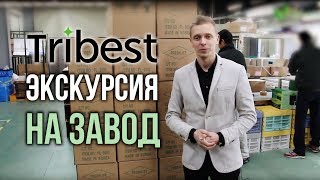 Экскурсия на завод Tribest (обзор производства техники Трайбест)