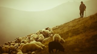 Виктор Судаков - Худая молва