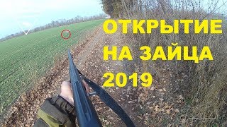 Открытие охоты на зайца 2019