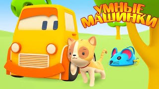 Умные машинки и котенок - Развивающие мультики про машинки. Животные для малышей.