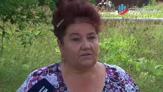 Вопрос главе: перилла к дорожке