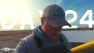 AVOIDING A GRAIN BIN DISASTER (IN REAL TIME) - 2019 Harvest Vlog - Day 24