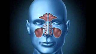 Sinus Congestion Relief : Flu & Common Cold Treatment | Pure Binaural Beats