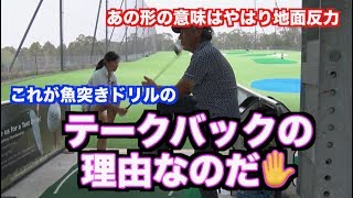 【出た！魚突きドリル２０２０】あのテークバックの意味はコレ?