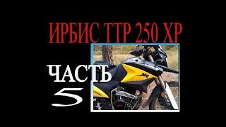 ИРБИС ТТР хр 250 Р Ставлю поршень, цилиндр, головку!!!