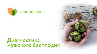 Диагностика мужского бесплодия