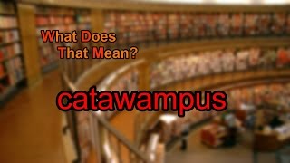 What does catawampus mean?