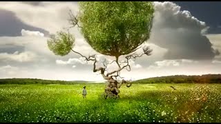Terence McKenna - You Must Have A Plan