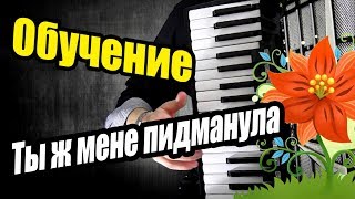 Как Играть Ты ж мене на аккордеоне / Украинские песни / разбор песни на баяне