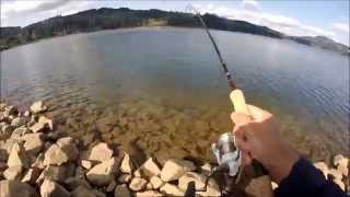 trout fishing with powerbait setup