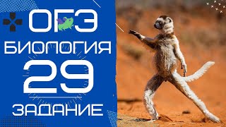 ОГЭ Биология Разбор Задания 29 Рохлов 2019 Работа с текстом