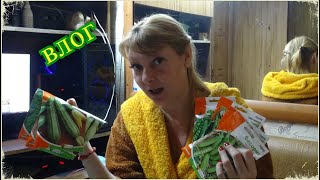 VLOG: Поболтаем про семена, коля оля шаповаловы