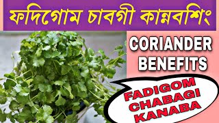 Health care news [17] || Fadigom chabagi kanabasing || benefits of coriander