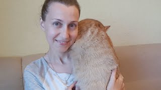 Общаемся и делимся новостями! Запись трансляции!