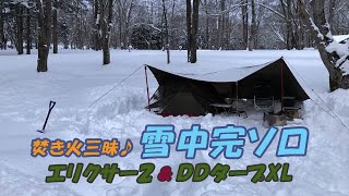 雪中ソロキャンプ（エリクサー２＆ＤＤタープ／絶好のコンディションで焚き火三昧♪）#96