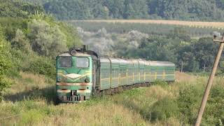 Старый зелёный тепловоз с зелёными вагонами пробирается сквозь травы