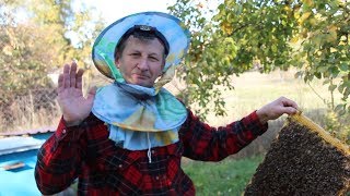 Проблемы с поздним расплодом