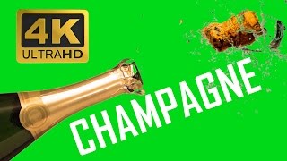 Champagne Explosion - Green Screen Effects Footage Download