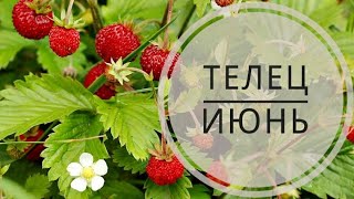 ТЕЛЕЦ ГОРОСКОП прогноз на ИЮНЬ 2018 для всех. Гадание на картах таро