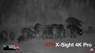 ATN X-Sight 4k Pro 5x20 Night Vision Hog Down 60 Yards