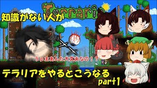 【ゆっくり実況、ゆっくり茶番】知識がない人がテラリアをやるとこうなるpart1